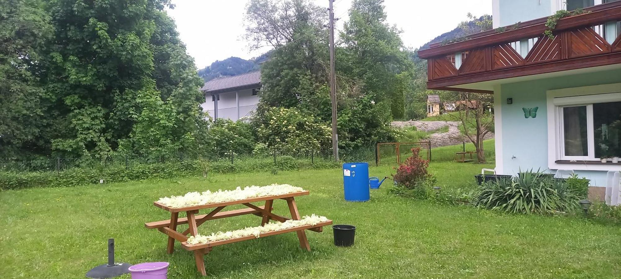 Apartamento Alie Gusta Hermagor-Pressegger See Exterior foto